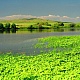 Старокулаткинский район. Золотая гора